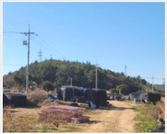  2025Ÿ50131  ϵ û  267      (Ӿ)