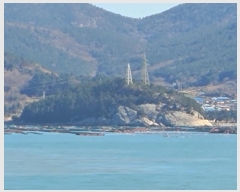  2025Ÿ50131  ϵ û  267      (Ӿ)