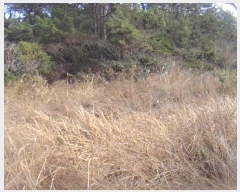  2025Ÿ��50186 ���� �ϵ��� ��ȭ�� ��긮 650-1      ����(��1)���