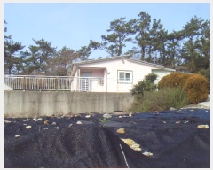  2025Ÿ��50186  ���ð��