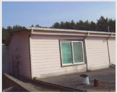  2025Ÿ��50186  ���ð��