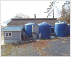  2025Ÿ��50186  ���ð��