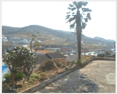  2025Ÿ50318  ϵ ϵ  664      ð