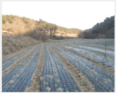  2025Ÿ��50326 ���� �س��� ������ ���� 532      ����(��)���