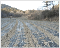  2025Ÿ��50326 ���� �س��� ������ ���� 532      ����(��)���