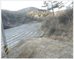  2025Ÿ��50326 ���� �س��� ������ ���� 532      ����(��)���