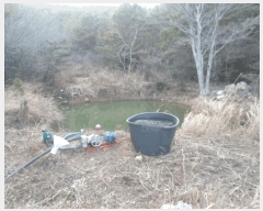  2025Ÿ��50326 ���� �س��� ������ ���� 532      ����(��)���