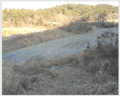  2025Ÿ��50326 ���� �س��� ������ ���� 532      ����(��)���