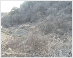  2025Ÿ��50326 ���� �س��� ������ ���� 532      ����(��)���