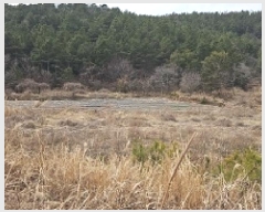  2025Ÿ��50326 ���� �س��� ������ ���� 532      ����(��)���