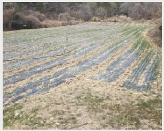  2025Ÿ��50326 ���� �س��� ������ ���� 532      ����(��)���