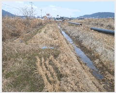  2025Ÿ��50372 ���� �س��� ����� ȭ���� 272-3      ����(��)���