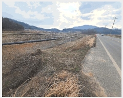  2025Ÿ��50372 ���� �س��� ����� ȭ���� 272-3      ����(��)���