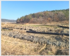  2025Ÿ��50372 ���� �س��� ����� ȭ���� 272-3      ����(��)���