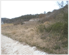  2025Ÿ50387  س ȭ ฮ 112-2      (Ӿ)