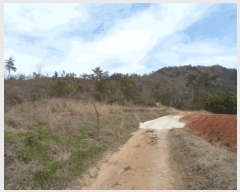  2025Ÿ50387  س ȭ ฮ 112-2      (Ӿ)