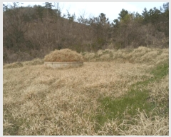  2025Ÿ50387  س ȭ ฮ 112-2      (Ӿ)