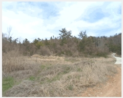  2025Ÿ50387  س ȭ ฮ 112-2      (Ӿ)