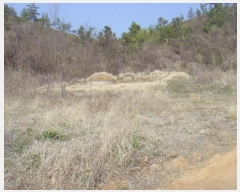  2025Ÿ50387  س ȭ ฮ 112-2      (Ӿ)