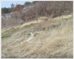  2025Ÿ50387  س ȭ ฮ 112-2      (Ӿ)