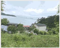  2025Ÿ��50403 ���� �ϵ��� ���ܸ� ��θ� 767-3      ���(ķ����)���