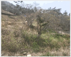  2025Ÿ��50419 ���� �س��� ȭ���� �ſ��� 696      ����(��1)���