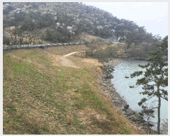  2025Ÿ��50419 ���� �س��� ȭ���� �ſ��� 696      ����(��1)���