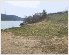  2025Ÿ��50419 ���� �س��� ȭ���� �ſ��� 696      ����(��1)���