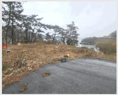  2025Ÿ��50419 ���� �س��� ȭ���� �ſ��� 696      ����(��1)���