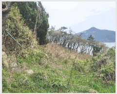  2025Ÿ��50419 ���� �س��� ȭ���� �ſ��� 696      ����(��1)���