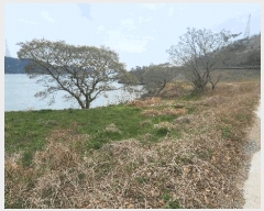  2025Ÿ��50419 ���� �س��� ȭ���� �ſ��� 696      ����(��1)���