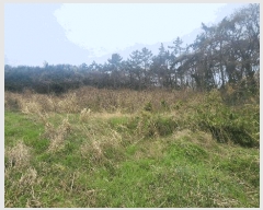  2025Ÿ��50419 ���� �س��� ȭ���� �ſ��� 696      ����(��1)���