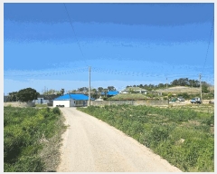  2025Ÿ��50439 ���� �س��� ������ ������ 437      ����(����)���