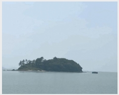  2025Ÿ��50441 ���� �س��� ������ ��ȣ�� ��343      ����(�Ӿ�)���