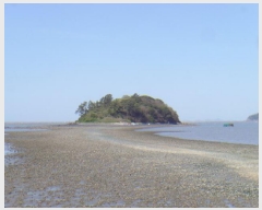  2025Ÿ��50441 ���� �س��� ������ ��ȣ�� ��343      ����(�Ӿ�)���