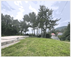  2025Ÿ��50539 ���� �ϵ��� ������ ������ 548      ����(������)���