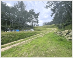  2025Ÿ��50539 ���� �ϵ��� ������ ������ 548      ����(������)���