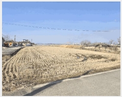  2025Ÿ407  ֽ  ̵1 373-2      ()