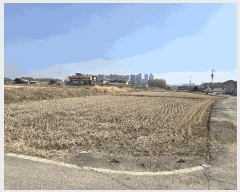  2025Ÿ407  ֽ  ̵1 373-2      ()