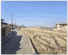  2025Ÿ407  ֽ  ̵1 373-2      ()