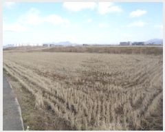  2025Ÿ407  ֽ  ̵1 373-2      ()