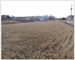  2025Ÿ407  ֽ  ̵1 373-2      ()