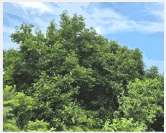  2025Ÿ��538 ���� ������ ���� 665-6       ����(��)���