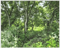  2025Ÿ��538 ���� ������ ���� 665-6       ����(��)���