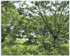  2025Ÿ��538 ���� ������ ���� 665-6       ����(��)���