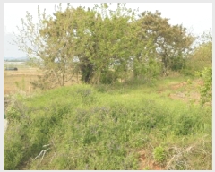  2025Ÿ679  ֱ  ϸ 511-16      ()