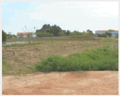  2025Ÿ679  ֱ  ϸ 511-16      ()