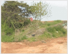  2025Ÿ679  ֱ  ϸ 511-16      ()