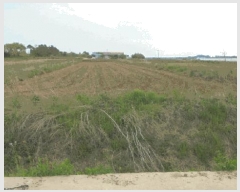  2025Ÿ679  ֱ  ϸ 511-16      ()