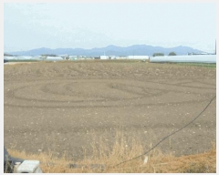  2025Ÿ679  ֱ  ϸ 511-16      ()